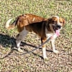 Thumbnail photo of Reagan #2