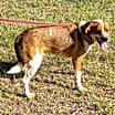 Thumbnail photo of Reagan #3