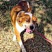 Thumbnail photo of Reagan #4