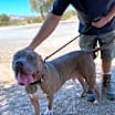 Thumbnail photo of CLYDE #2