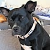 Thumbnail photo of Butters #3