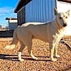 Thumbnail photo of Vanilla Ice #3