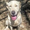Thumbnail photo of Bonny #1