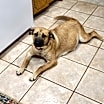 Thumbnail photo of Mia #4