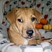 Thumbnail photo of Lilly #1