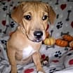 Thumbnail photo of Lilly #3