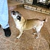 Thumbnail photo of ROCKY #4