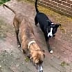 Thumbnail photo of Otis #4