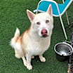 Thumbnail photo of Horchata #2