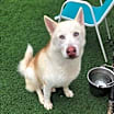 Thumbnail photo of Horchata #3