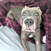 Thumbnail photo of Myla #2