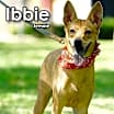 Thumbnail photo of Ibbie from Taiwan #2
