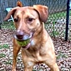 Thumbnail photo of NOVA #2