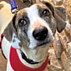 Thumbnail photo of Jenny #2