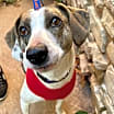 Thumbnail photo of Jenny #3