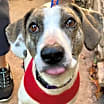 Thumbnail photo of Jenny #1