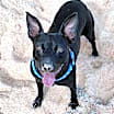 Thumbnail photo of Yanna #2