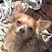 Thumbnail photo of Stoney #3