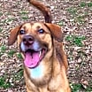 Thumbnail photo of NOVA #3