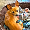 Thumbnail photo of Olivia #1