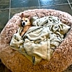 Thumbnail photo of Olivia #4