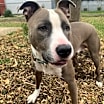 Thumbnail photo of Billy #1