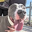 Thumbnail photo of Billy #2