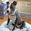 Thumbnail photo of Billy #3