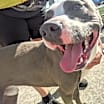Thumbnail photo of Billy #4
