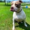Thumbnail photo of Jed #2