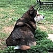 Thumbnail photo of Nakita  #1