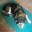 Thumbnail photo of Nakita  #2