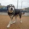 Thumbnail photo of Nakita  #3