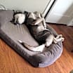 Thumbnail photo of Nakita  #4
