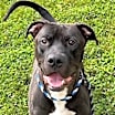 Thumbnail photo of Bently #1