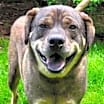 Thumbnail photo of BOO #1