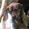 Thumbnail photo of BOO #2