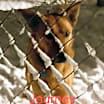 Thumbnail photo of JOURNEY #3