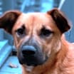 Thumbnail photo of JOURNEY #4