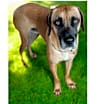 Thumbnail photo of Tanner #4