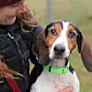 Thumbnail photo of Jasper #1