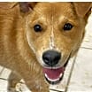 Thumbnail photo of Mikey #2