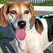 Thumbnail photo of Charlie #3