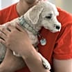 Thumbnail photo of WILLIAM-URGENT-Help Needed #2