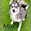 Thumbnail photo of Max #2