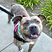 Thumbnail photo of Pixel #1