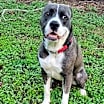 Thumbnail photo of TEETER #3