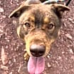 Thumbnail photo of Bear (Courtesy post) #1