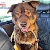 Thumbnail photo of Bear (Courtesy post) #2