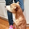 Thumbnail photo of Bubs #1